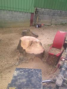 Greentec 660